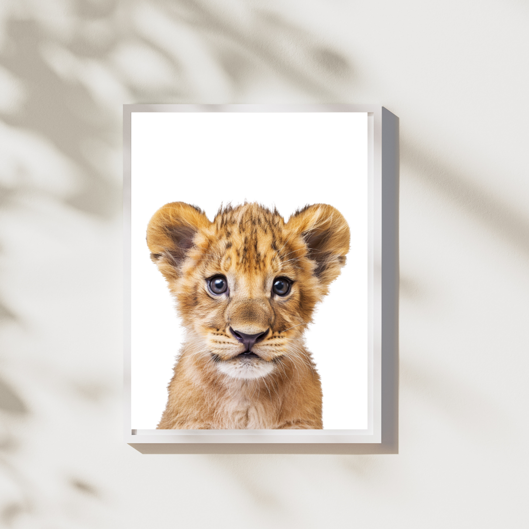 Leeuw - Safari Realisme Poster Collectie