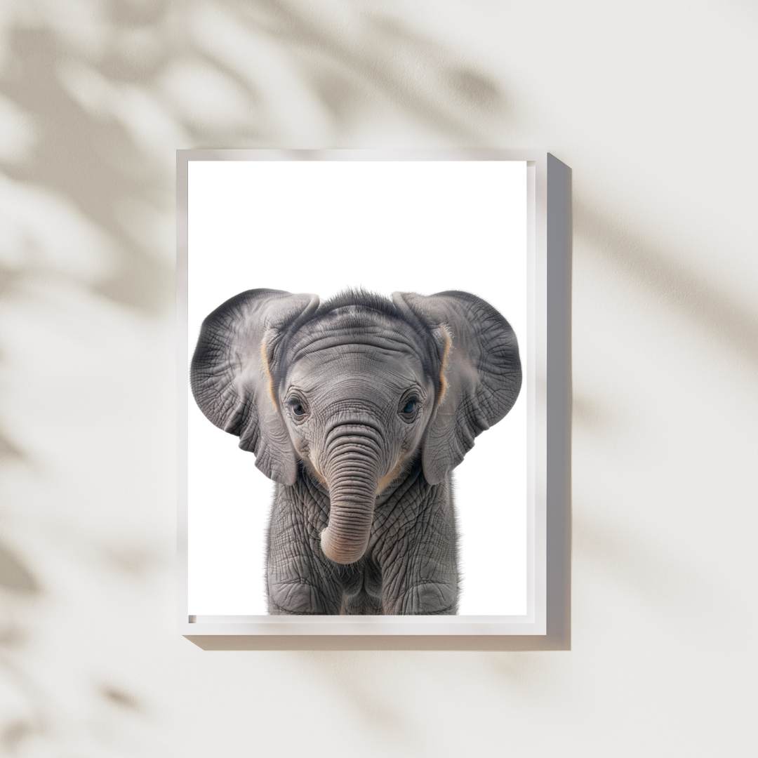 Olifant - Safari Realisme Poster Collectie