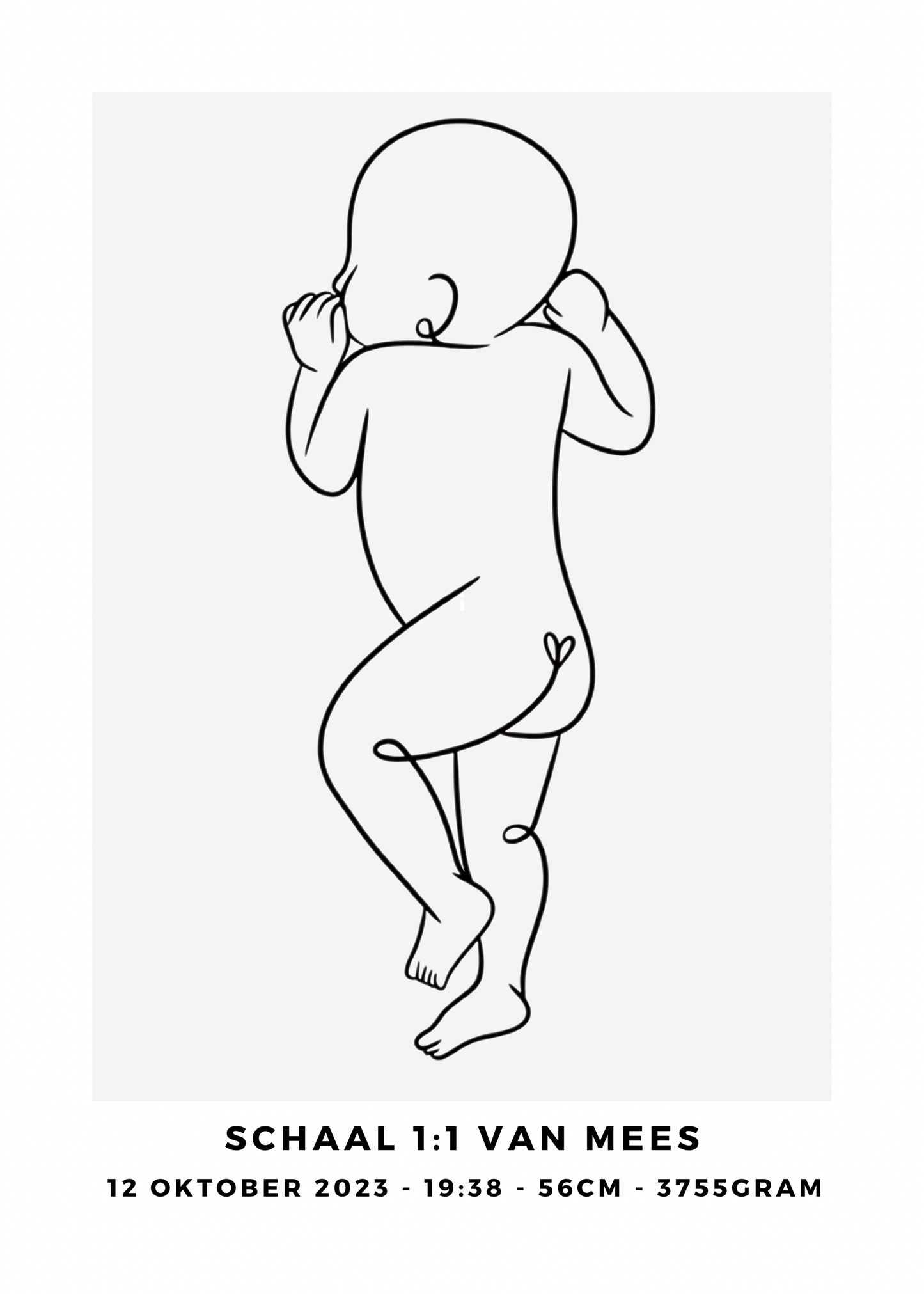 Newborn lineart minimal
