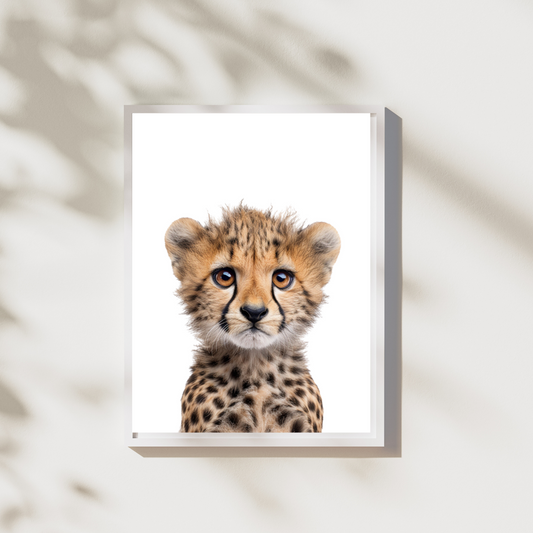 Cheetah - Safari Realisme Poster Collectie